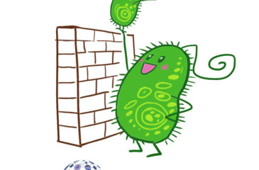 cartoon of a large green microbe holding up a smaller green microbe to see over a wall